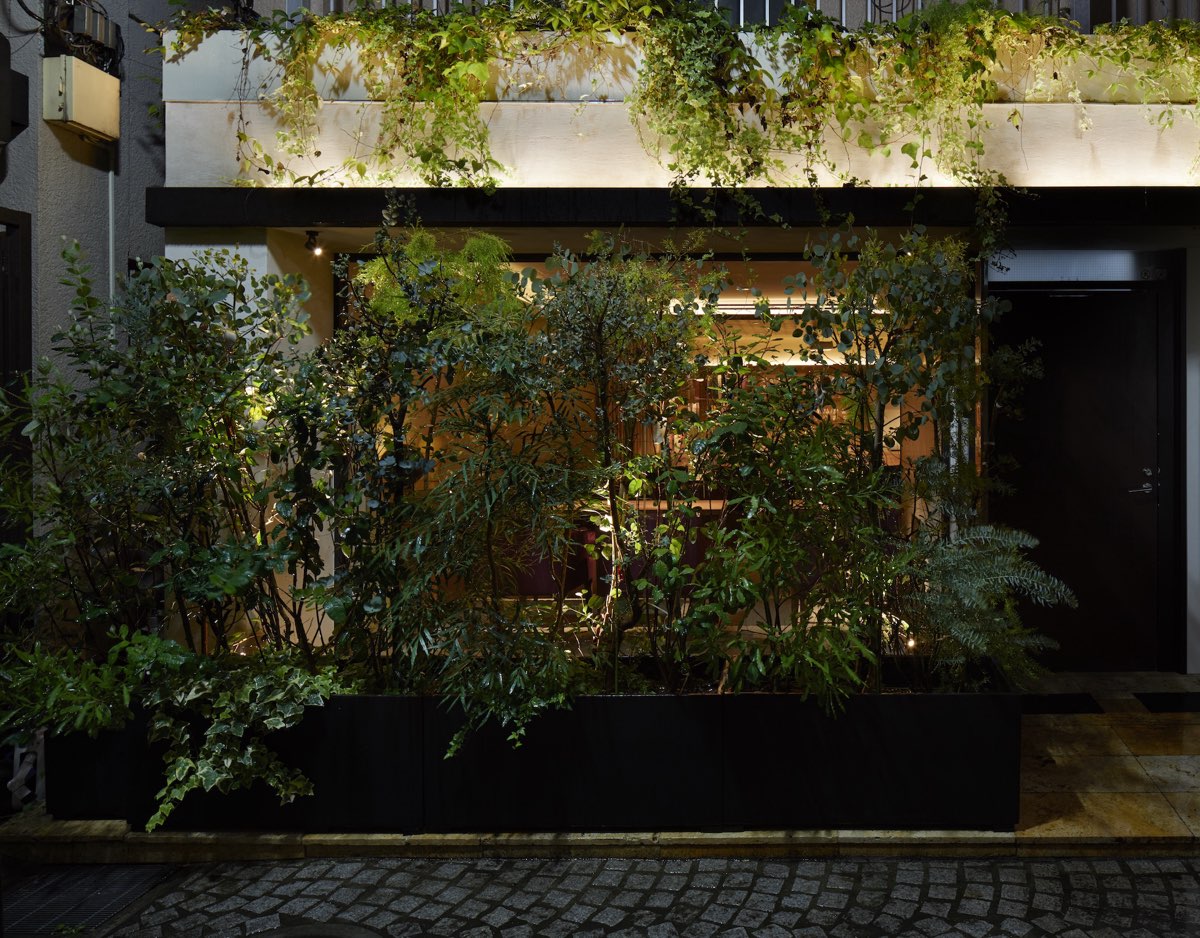 bar MINT